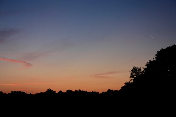 astrophoto adhérent à la une